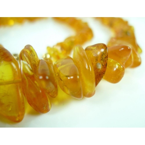 816 - A honey amber necklace, possibly Baltic, the amber pieces of graduating size, gold coloured metal cl... 