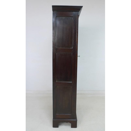 924 - A 19th century oak garderobe or narrow wardrobe, with single full length panelled door enclosing a h... 