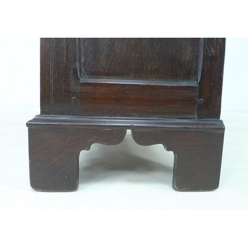 924 - A 19th century oak garderobe or narrow wardrobe, with single full length panelled door enclosing a h... 