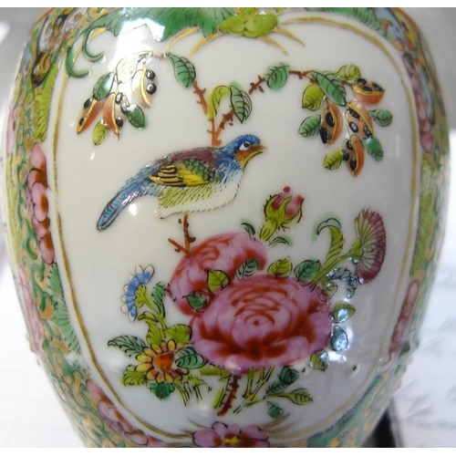 511 - A Chinese vase with moulded double ring neck, painted with Asian pheasants, birds and butterflies, l... 