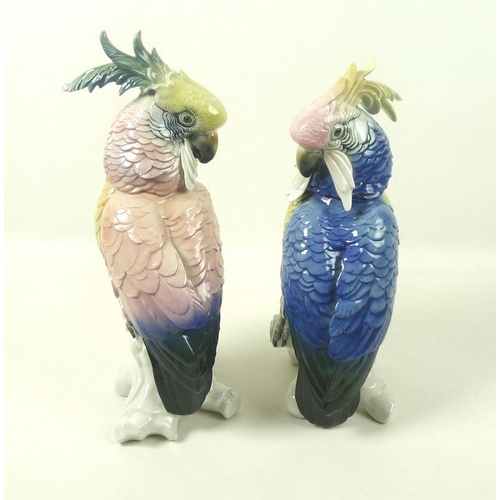 547 - A pair of Dresden porcelain figurines, modelled as green woodpeckers, printed factory marks, togethe... 