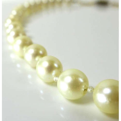 799 - A single strand of forty cultured pearls, with 9ct gold clasp set with a central garnet surrounded b... 