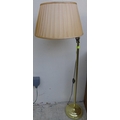 A standard lamp with an adjustable arm.