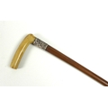 A late Victorian Malacca cane with turned horn handle above silver collar, London 1901, Henry Howell... 