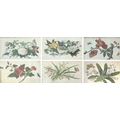 A group of Chinese paintings on silk comprising a pair of paintings of butterflies amongst peonies a... 