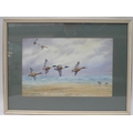 Cecil Thomas Hodgkinson (1895-1979): marine watercolour of Shoveller ducks in flight over three Dunl... 