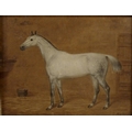 George Morley (British, 1831-1889): a full equine study, of a dapple grey horse standing in stalls, ... 