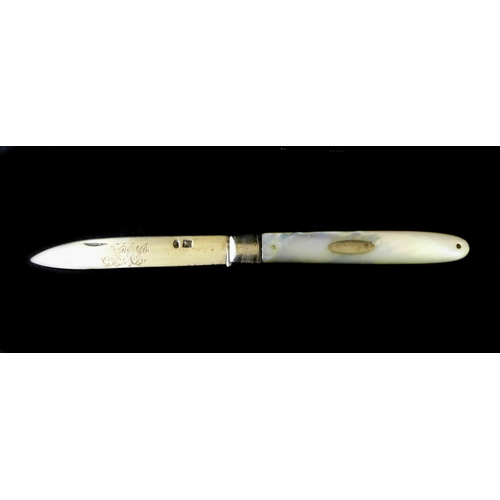 25 - A Georgian silver penknife with mother of pearl handle, a James Usher style silver teaspoon with a t... 