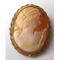 A 9ct gold mounted cameo brooch, 4 by 3.1cm, 6.4g.