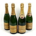 Vintage Champagne: a mixed parcel of champagne, comprising two bottles of A R Lenoble 1995 Grand Cru... 
