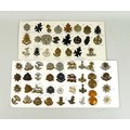A group of sixty eight British military badges, including  the Bedfordshire Regiment, West Yorkshire... 