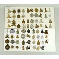 A group of seventy three British military cap badges, including Machine Gun Corps, Lincolnshire Yeom... 