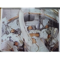 Five pre-print broadsheet sized lithographs of the NASA moon landing, from a limited colour run of a... 