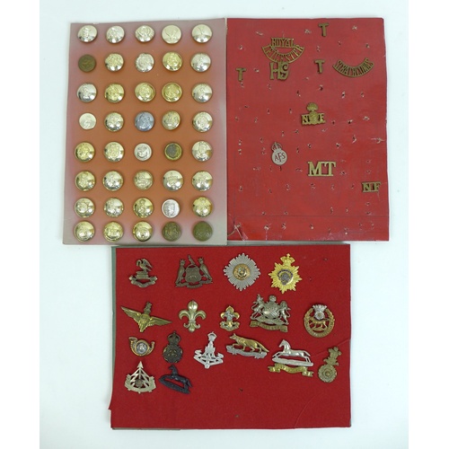 120 - A collection of sixty seven British army badges and buttons, including a WWI Liverpool Pals Brigade,... 