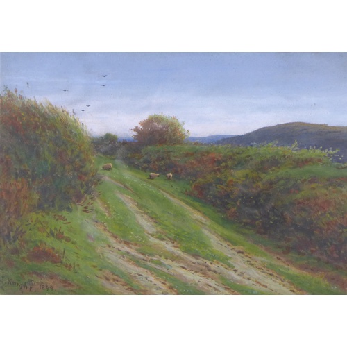 205 - Joseph Knight (British, 1837-1909): 'An Old Coach Road', signed lower left and dated 1899, titled be... 