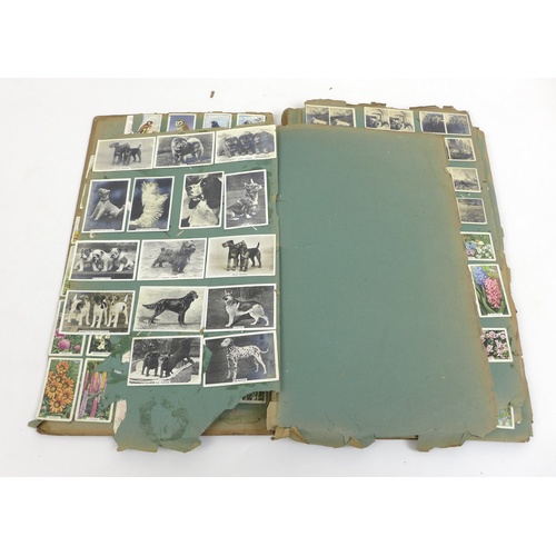 131 - A collection of books with stamp and cigarette card albums, comprising 'The Book of Cricket' Edited ... 