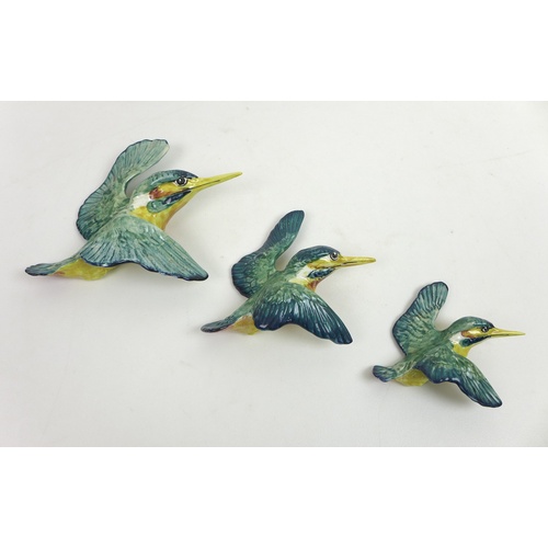 50 - A group of three Beswick ceramic wall plaques, each modelled as a kingfisher, of graduating size, st... 