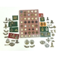 A collection of over eighty British army badges and buttons, including Hampshire and Royal Hampshire... 