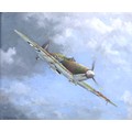 Rod Lomas AGAVA (British, 20th century): 'Spitfire Mk Vb No 19 Squadron', signed and dated '04 lower... 