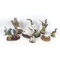 A collection of eight wildlife figurines, comprising a Border Fine Arts long eared owl, 20 by 19 by ... 