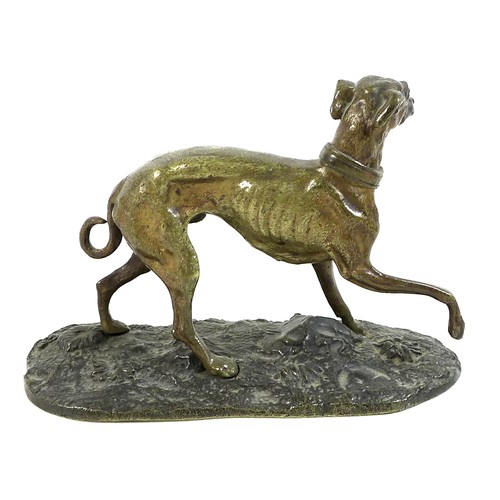 65 - A bronze sculpture of a whippet or lurcher, early 20th century, modelled in standing pose with raise... 