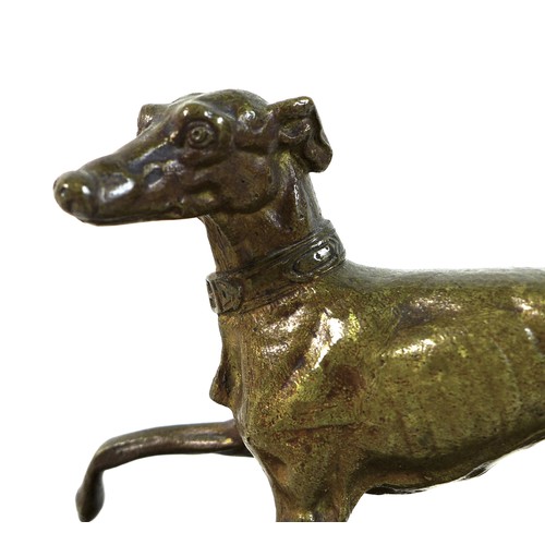 65 - A bronze sculpture of a whippet or lurcher, early 20th century, modelled in standing pose with raise... 