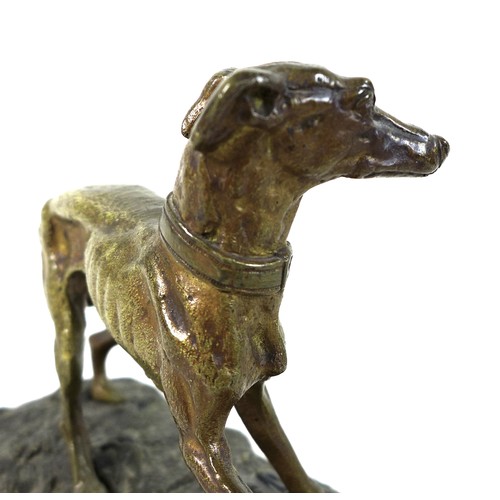 65 - A bronze sculpture of a whippet or lurcher, early 20th century, modelled in standing pose with raise... 