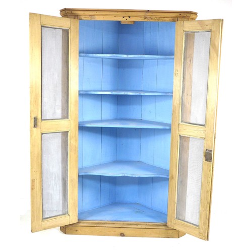 222 - A large early 20th century pine corner cupboard, with double mesh panelled doors, blue interior with... 