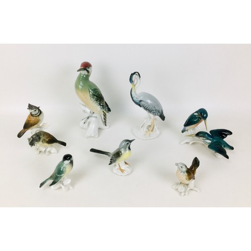 30 - Seven Karl Ens porcelain bird figurines, including a large woodpecker, 7527, a Heron, 7300, a pair o... 