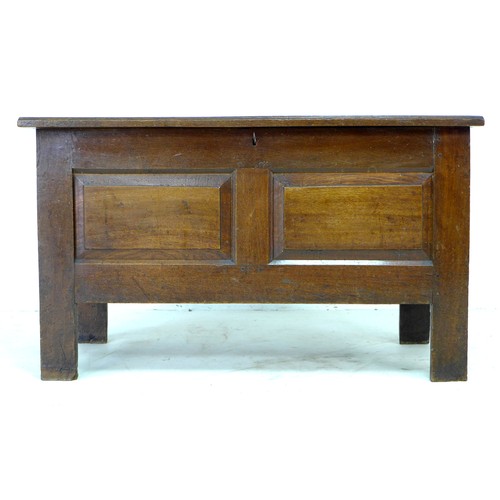 308 - A 19th century oak coffer, with two plain front panels and rustic loop hinges, 113 by 49 by 66cm hig... 