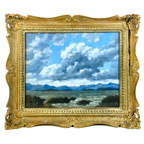 193 - British School (20th century): lake scene with with cloudy sky, oil on board, unsigned, 39.7 by 49.8... 