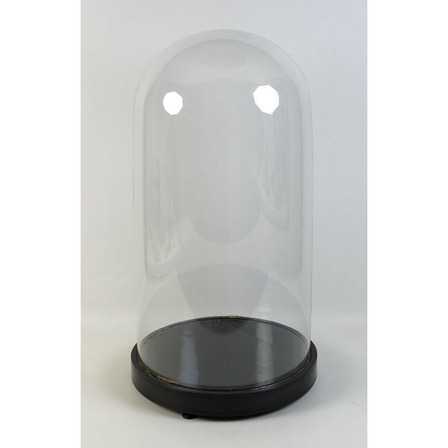 117 - A large Victorian glass dome, on a circular ebonised wooden base with three feet, 30 by 55cm high.