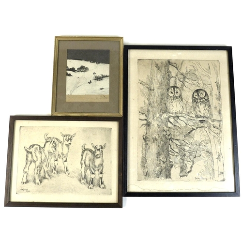 197 - Three continental country scene and wildlife etchings, Falk Bang, 'Two owls' etching, 38.5 by 28.5cm... 