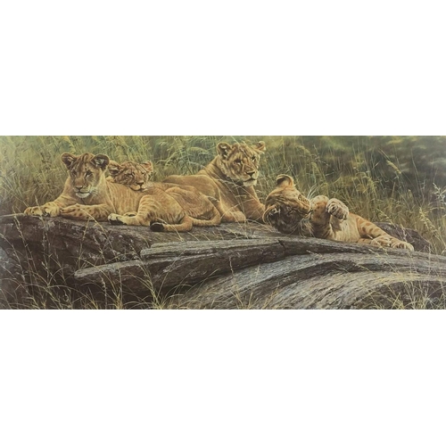 199 - After Alan Hunt (British, 1947) two signed limited edition prints of lions, 'Beauty and the Beast' n... 