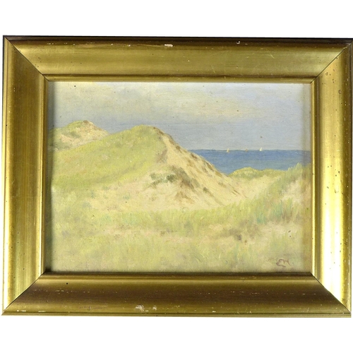 209 - Danish School (early 20th century): Coastal scene with sand dunes, signed 'EM', oil on canvas, 17.5 ... 