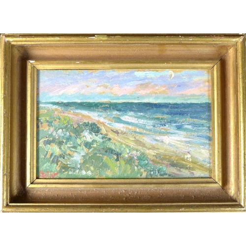 212 - Danish School (20th century): two impressionistic coastal scene paintings, an oil on canvas of a sai... 