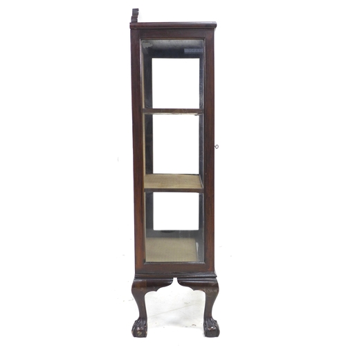 317 - An Edwardian mahogany display cabinet, with astragal glazed single door, two shelves, raised upon ca... 