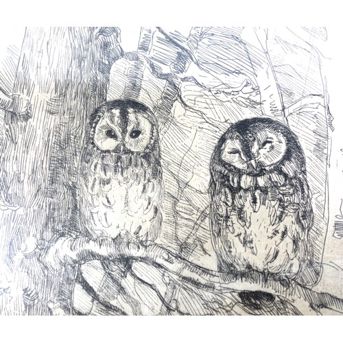 193 - Three continental country scene and wildlife etchings, Falk Bang, 'Two owls' etching, 38.5 by 28.5cm... 