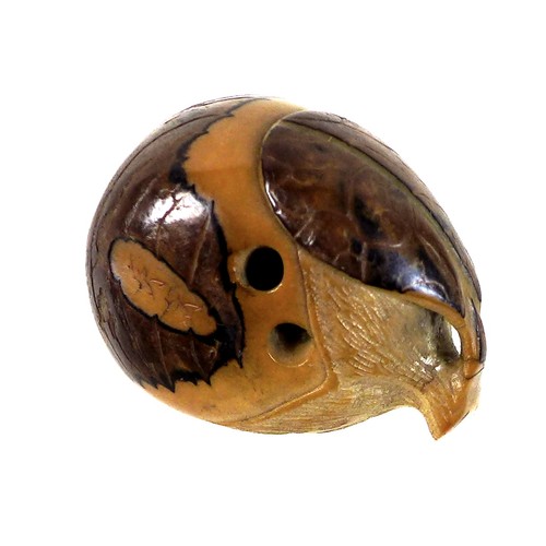 12 - A Japanese Katabori netsuke, likely Meiji period, made out of a tagua nut and shell and carved in th... 