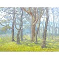 Norman Douglas Hughes (British, late 20th century): Woodland landscape oil on board, signed 'N. Doug... 
