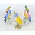 A collection of Beswick and Karl Ens Cockatoo porcelain figurines, comprising a Beswick 1180 Cockato... 