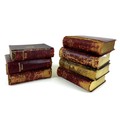 A group of six Albion editions, comprising 'Shakespeare's Works', Wordsworths, Lonfellow's, Milton's... 