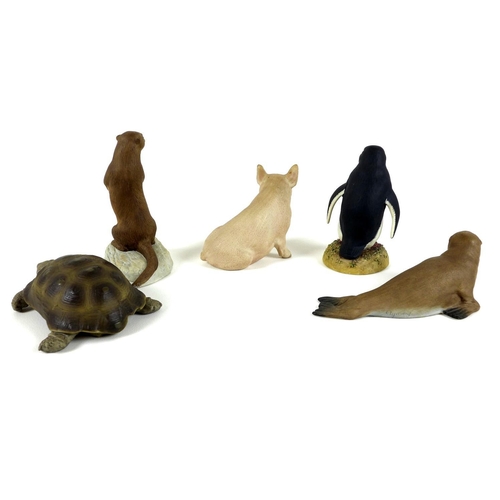 49 - A group of five Aynsley porcelain animal figures, comprising Otter, 15.5cm high, Piggy, 10cm high, C... 