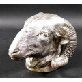 A contemporary silver plated wall sculpture, modelled as a ram's head, engraved hair detailing, unma... 