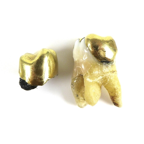 164 - Two gold dental crowns, with teeth attached, 13.0g.