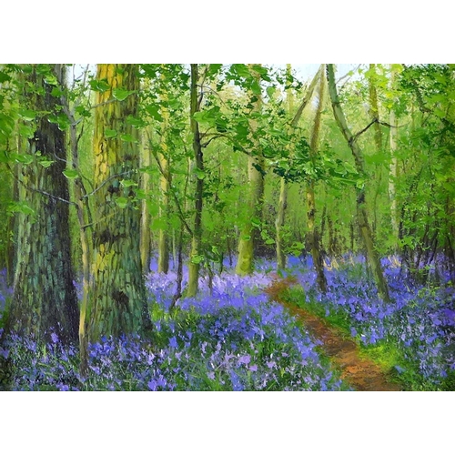 150 - Peter Barker (British, b. 1954): 'Bluebells at Barnsdale', signed lower left, oil on board, 9 by 12.... 