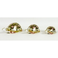 A group of three Royal Crown Derby paperweights, all modelled as tortoises 'The Yorkshire Rose Torto... 