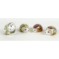 A group of four Royal Crown Derby paperweights, all modelled as hedgehogs, comprising 'Orchard Hedge... 