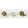 A group of three Royal Crown Derby paperweights, comprising 'Garden Snail', limited edition 151/4500... 