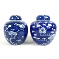 A Chinese blue and white ginger jar and cover, late 19th century, decorated in underglaze blue with ... 